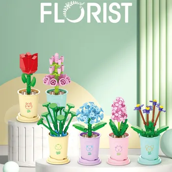Зодиакални щастлив цветя, сочни градивни елементи, Цветя чашата за кафе в саксия, детски играчки-пъзели за сглобяване, плот за шаферките