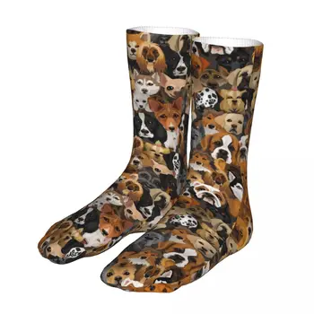 Мъжки чорапи за колоездене с булдог, памучни компресия дамски чорапи с животни