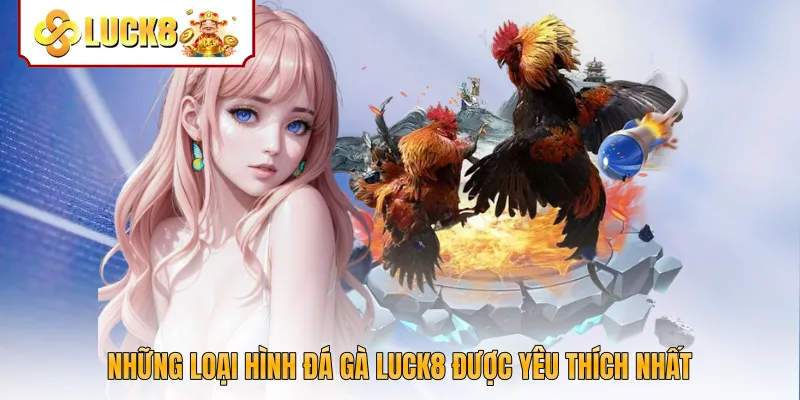 Những loại hình đá gà Luck8 được yêu thích nhất