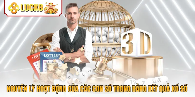 Nguyên lý hoạt động của các con số trong bảng kết quả xổ số